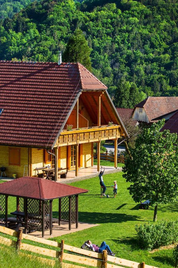 Farm Stay Pirc Lasko Exterior photo